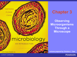 Micro Chapter 3 ppt 11th edition