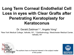 Long Term Corneal Endothelial Cell Loss in eyes with Clear Grafts