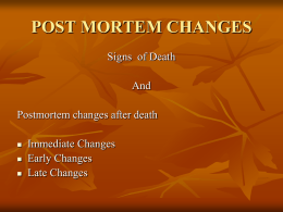 Post Mortem Changes