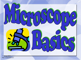 Microscope Basics