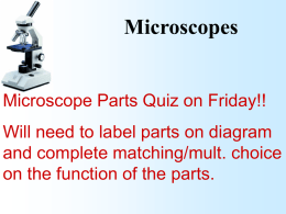 Microscope Parts and Function