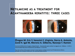 Topical Netilmicine as a treatment for Acanthamoeba keratitis