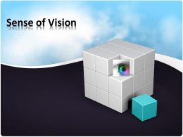 Sense Of Vision