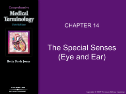 THE SPECIAL SENSES (EYE & EAR)