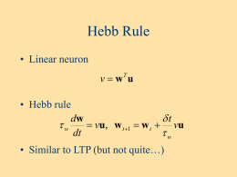 Hebb Rule