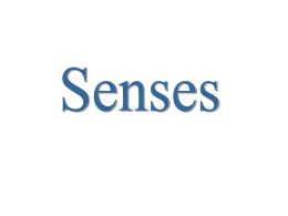 Senses - ShevClasses