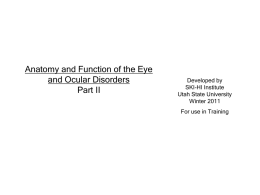 Anatomy & Function and Ocular Disorders Part 2