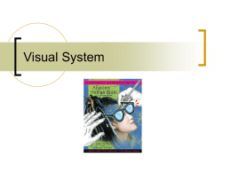 June 15_Visual System