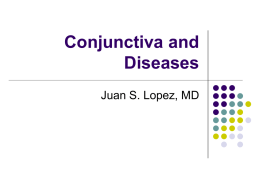 Conjunctiva and Diseases