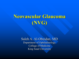 Neovascular Glaucoma (NVG)