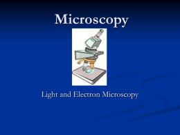 Microscopy - Petal School District