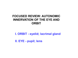 Autonomic_Innervation_of_Eye_and_Orbit_2012
