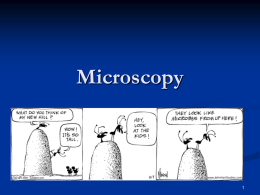 Microscopy PPT