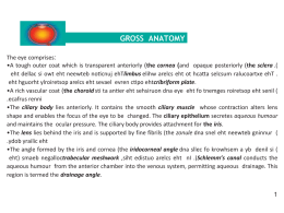 ciliary body