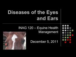 Diseases of the Eyes and Ears