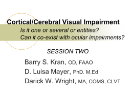 Cortical/cerebral visual impairment: Is it one or