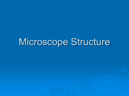 Microscope Structure