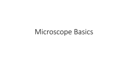 Microscope Basics - Manhasset Schools