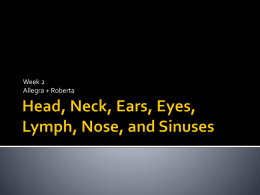 head, neck, ears, eyes, lymph, nose and sinusesx