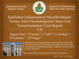 Epibulbar Inflammatory Myofibroblastic Tumor After Haematopoietic