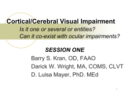 Cortical/cerebral visual impairment: Is it one or several or entities?