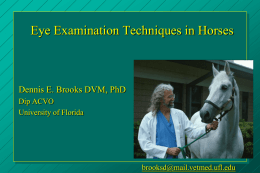 EXAMINATION OF THE EYE: METHODS OF DIAGNOSIS AND