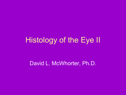 Histology of the Eye II
