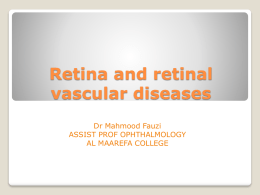 10 Retina And Retinal Vascular Disordersx