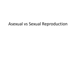 asexual_vs_sexual_reproductionx