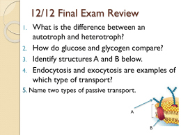 12/12 Final Exam Review