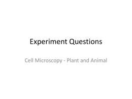 Plant and Animal Cell EQ
