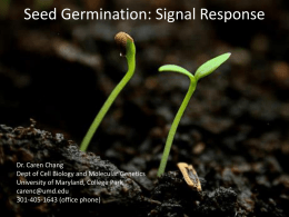 Seed germination - Howard University > Plant Biotechnology