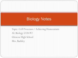Describe cell processes necessary for achieving homeostasis