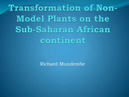 Genetic transformation of non-model plants
