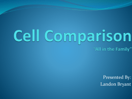 Cell Comparison *All in the Family*