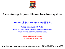 A new strategy to protect flowers from freezing stress Liao Pan (廖攀)