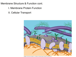Membrane Protein Function & Cellular Transport