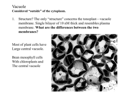 (not through inheritance). What is the origin of vacuole?