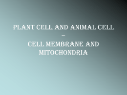 Plant cell and Animal cell – Cell membrane and