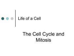 cells.