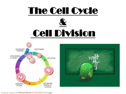 The Cell Cycle & Cell Division