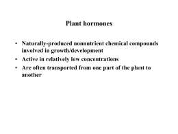 plant hormones lec9. ppt - An