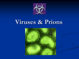Viruses & Prions