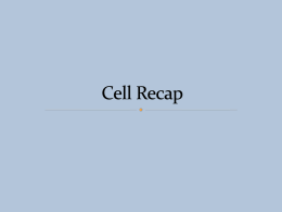 Cell Recap