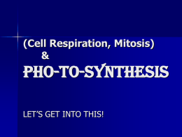 (Cell Respiration, Mitosis) and Pho-to