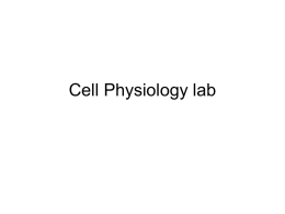 Cell Physiology lab - Orange Coast College