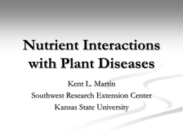 Nutrient Interactions with Plant Diseases