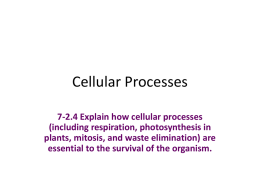 Cellular Processes - Spaulding Middle School