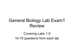 General Biology Lab Exam1 Review