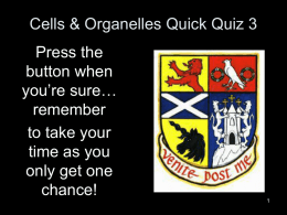 Cells & Microscopes Quick Quiz 3